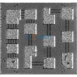 WMTR-051-80001K