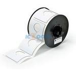 B30EP-170-593-WT