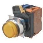 A22NL-RPM-TGA-G100-GC