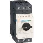 GV3P65
