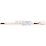 RTD-2-F3105-36-T-B