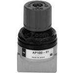 AP100-01