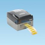 TDP43ME-SPINDLE