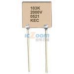 20HV12N101K