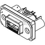 MUSBK55230