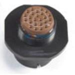 MS24265R22B55PN