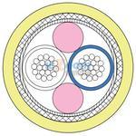NF26T100