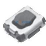 EVPAA602W-HOL
