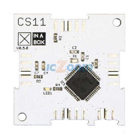CS11