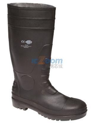 FW13105 SZ6