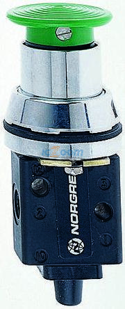 03036702