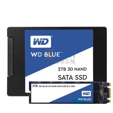 WDS100T2B0A