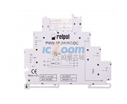 PIR6W-1P-24VAC/DC