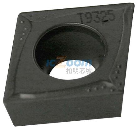 CCMT 09T304E-FM:T9315