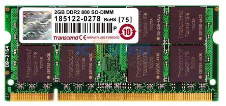 TS256MSQ64V8U