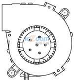 BM5020-01W-B29-L50