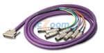 DB25M10TRS