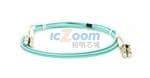 FO-10GGBLCX20-001