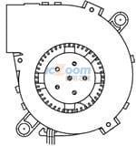 05020GA-12M-AA-00