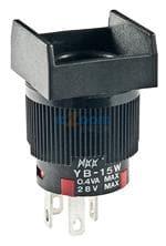 YB15WSKG01