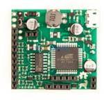 CS-LABRADOR-02