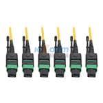N392-61M-3X8-AP