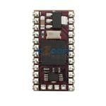 SS1-IC