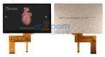 NHD-7.0-800480EF-ATXL#-CTP