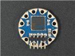 ASM2101