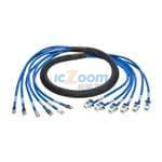 N261-010-6MF-BL