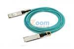 FCBN425QE1C01
