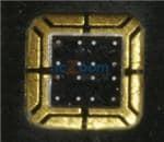OPR5911