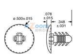 561-XTS1870442