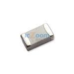 1206SFP700FM/24-2