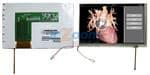 NHD-7.0-800480WF-ATXI#-T