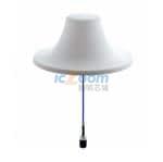 CMS38606P-30NF