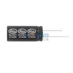 RXJ101M1JSA1020