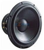 TIW 300 - 8 OHM