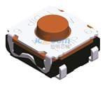 101-T61MSR-EV