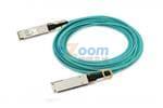 FCBN425QE1C10