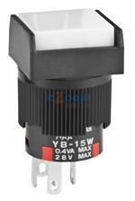 YB15WSKG01-BB