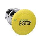ZB4BS5540