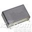 R46KR4100JPM1M
