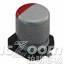 RFS1A100MCN1GB