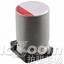 RPS1E101MCN1GS